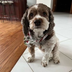 Meet your Posher, Annalesa